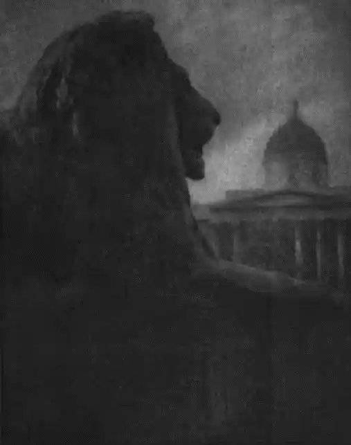 Lion silhouette.jpg